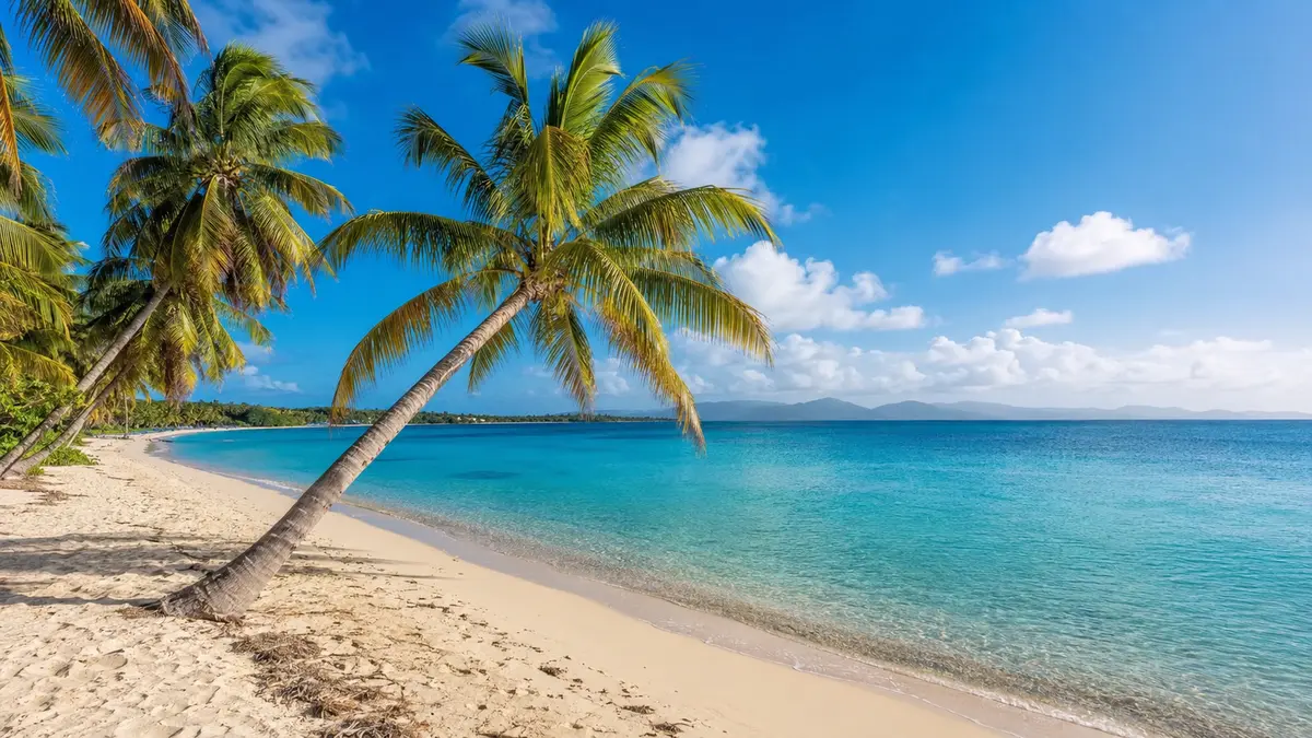 Plage de la Caravelle et lagon turquoise en Guadeloupe